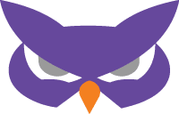Flashing Logo